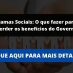 Programas Sociais: O que fazer para não perder os benefícios do Governo